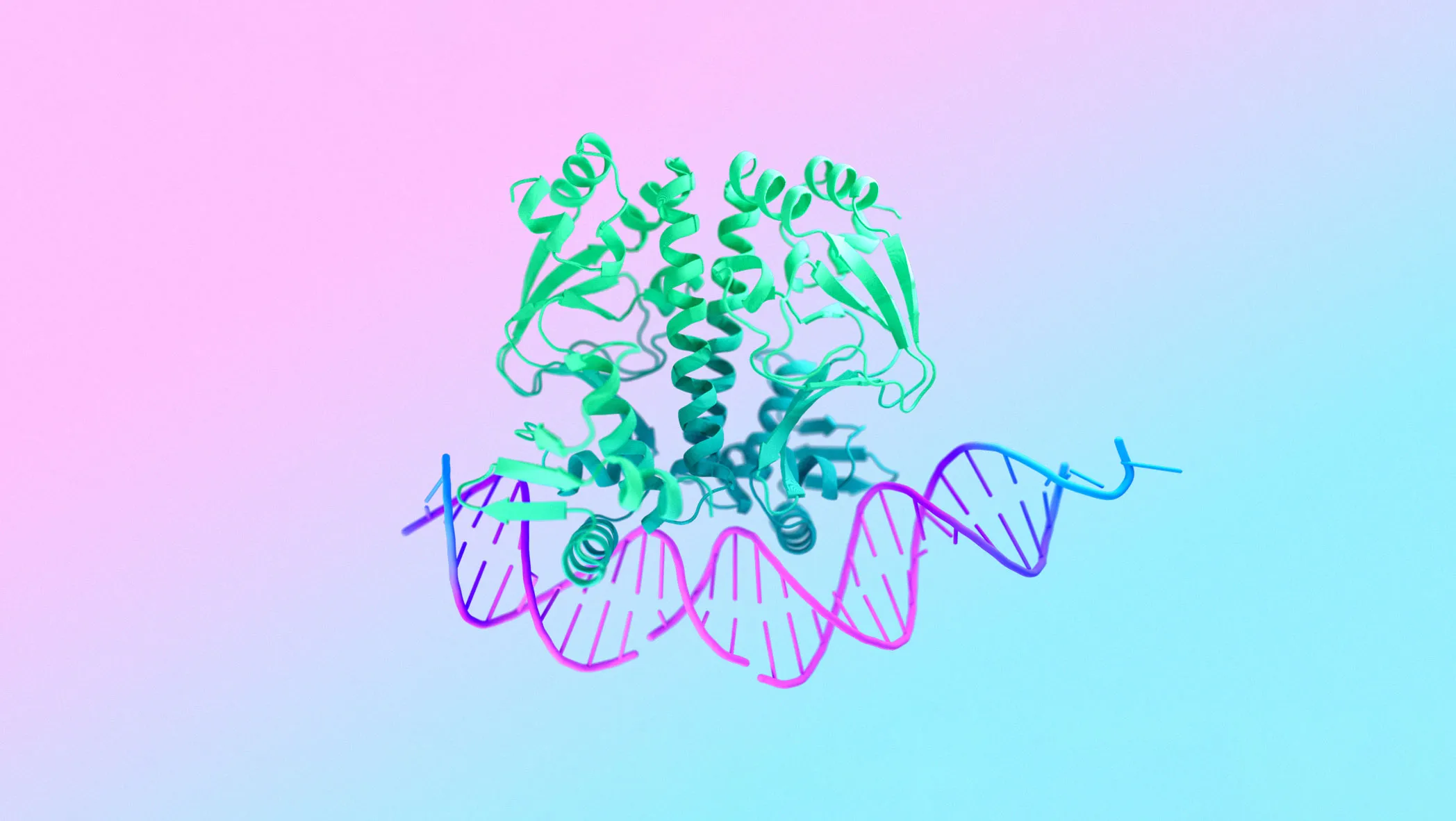 3D Protein Folding model